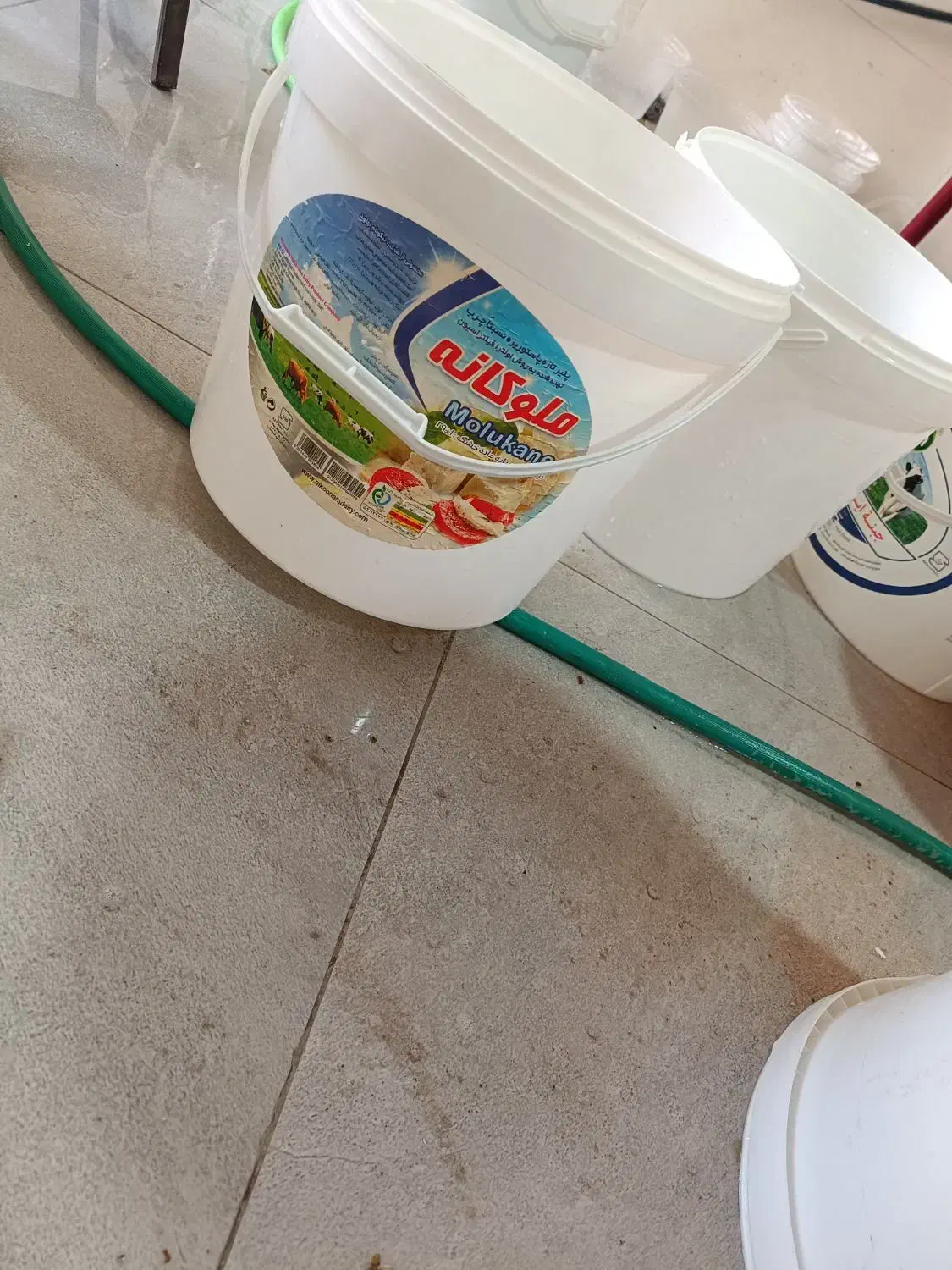 سطل پنیری|ظروف نگهدارنده، پلاستیکی، یکبارمصرف|کرمان, |دیوار