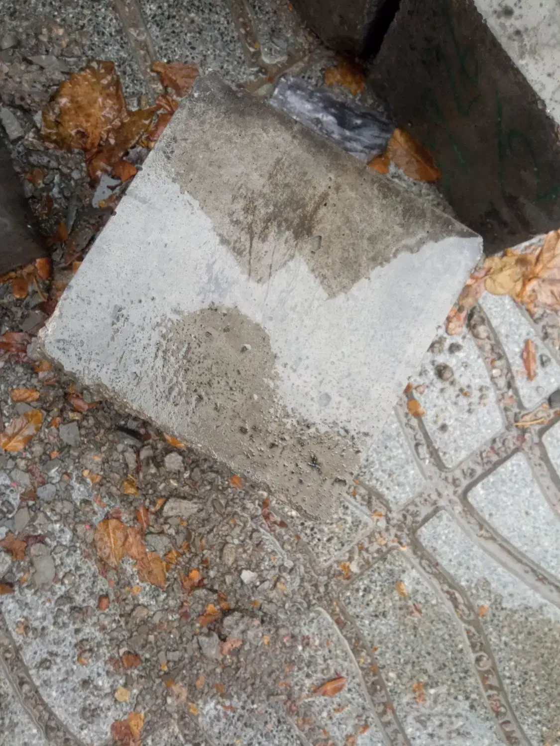 قالب بتنی 15*15|مصالح و تجهیزات ساختمان|مشهد, نرگس (شهرک غرب)|دیوار