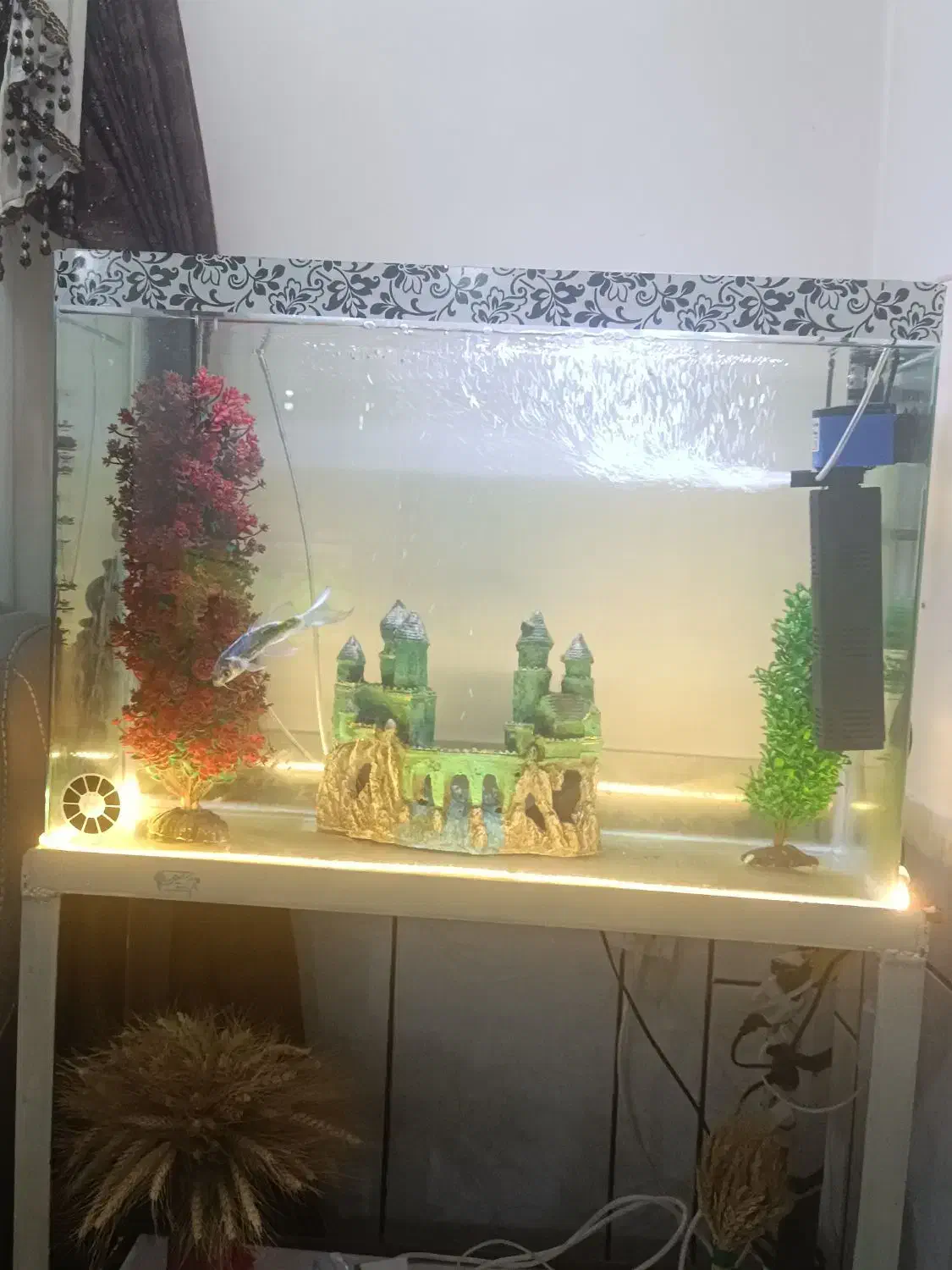 اکواریوم|ماهی|بابا حیدر, |دیوار