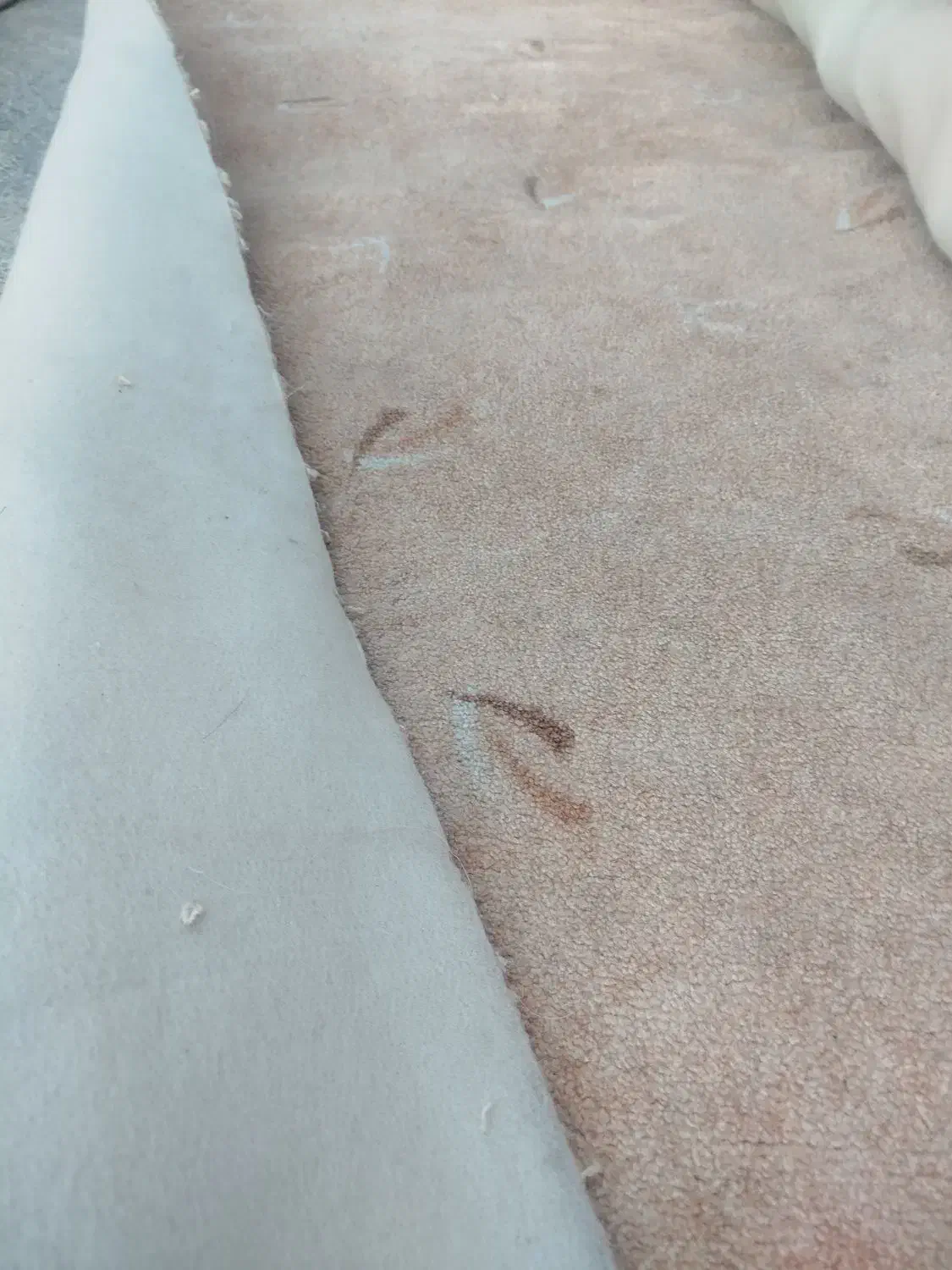 موکت|موکت|ایلام, |دیوار