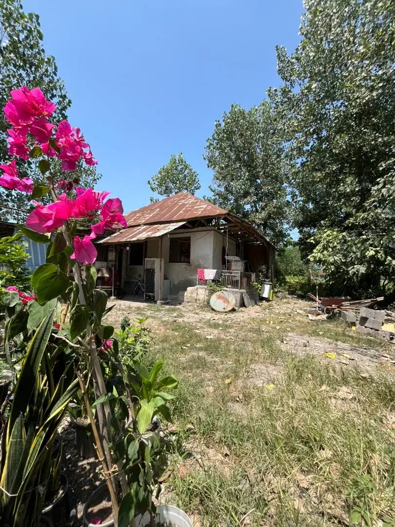 ۵۵۰متر سند تک برگ ۲ دقیقه شهر/رشت به کوچصفهان سنگر|فروش خانه و ویلا|سنگر, |دیوار