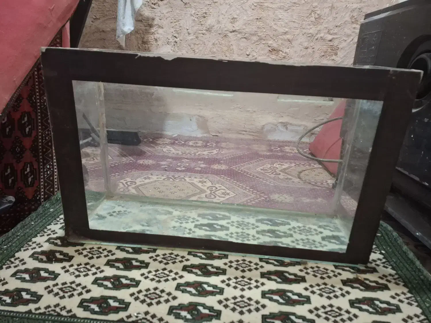 اکفاریوم در حد نو|ماهی|سبزوار, هویزه|دیوار