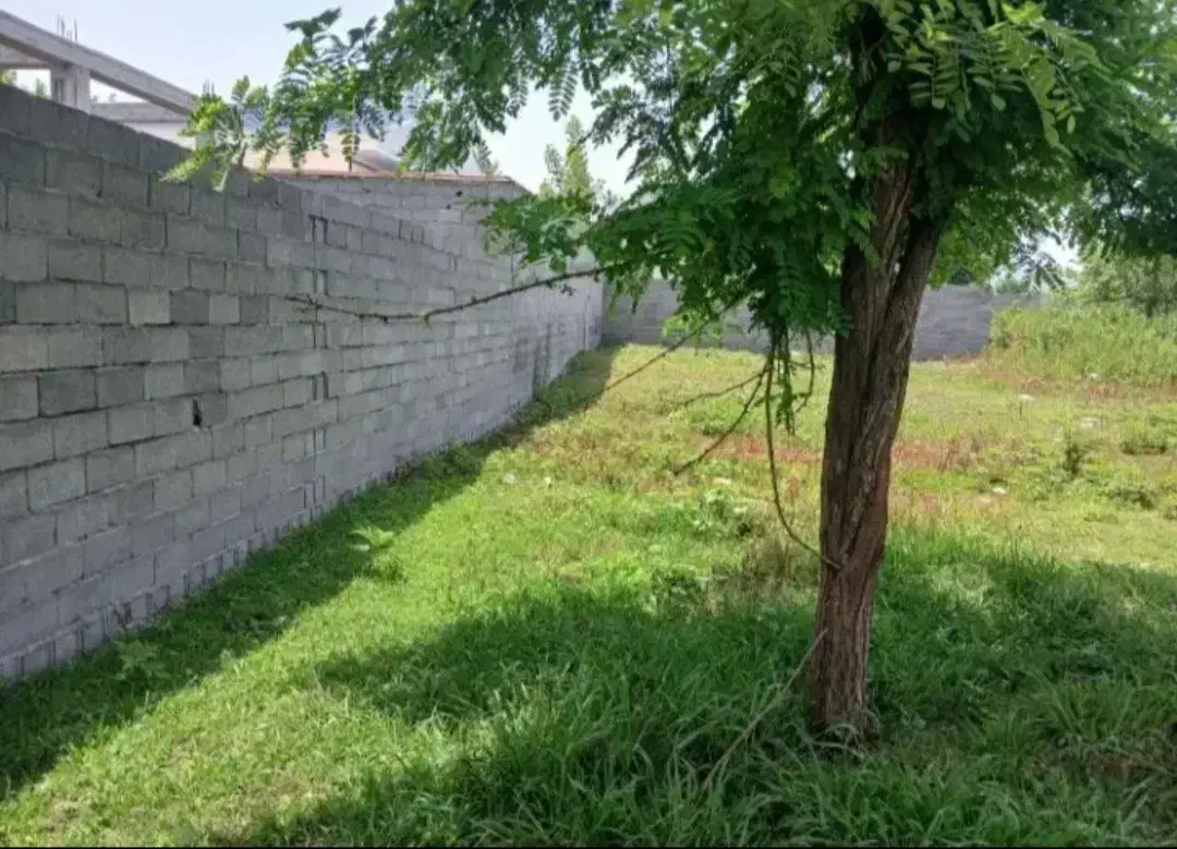 زمین مسکونی۳۵۰متری سنگرسراوان سیاهکل قاضیان کچا|فروش زمین و ملک کلنگی|رشت, بلوار گیلان|دیوار