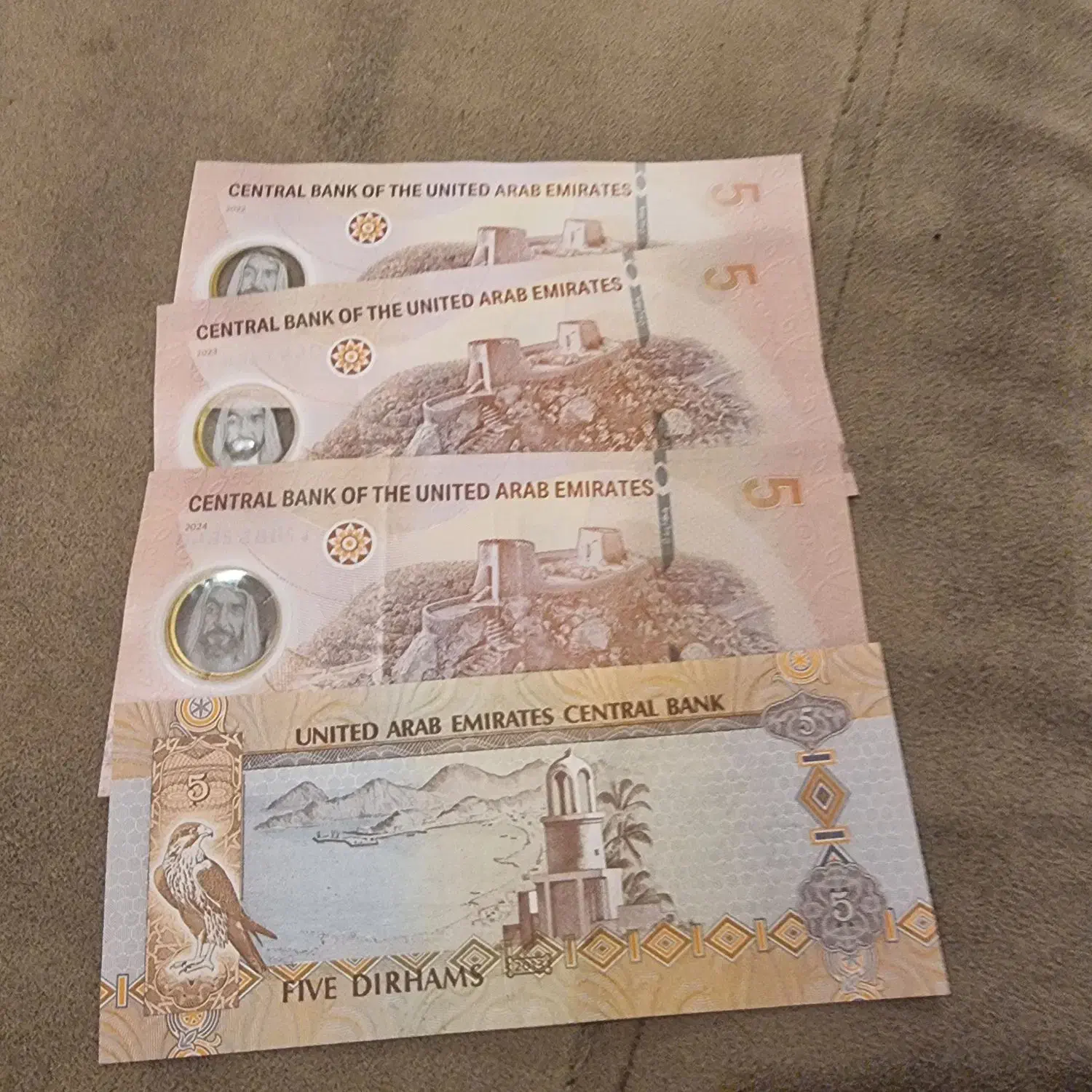 درهم کلکسیونی|کلکسیون سکه، تمبر، اسکناس|تهران, درختی|دیوار