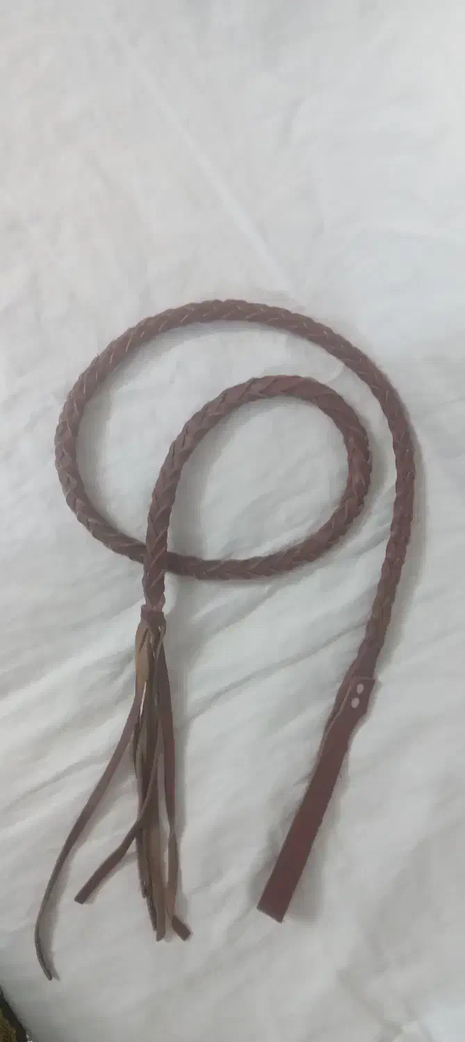 شلاق اسب تمام چرم اصل|اسب و تجهیزات اسبسواری|کاشان, الغدیر|دیوار