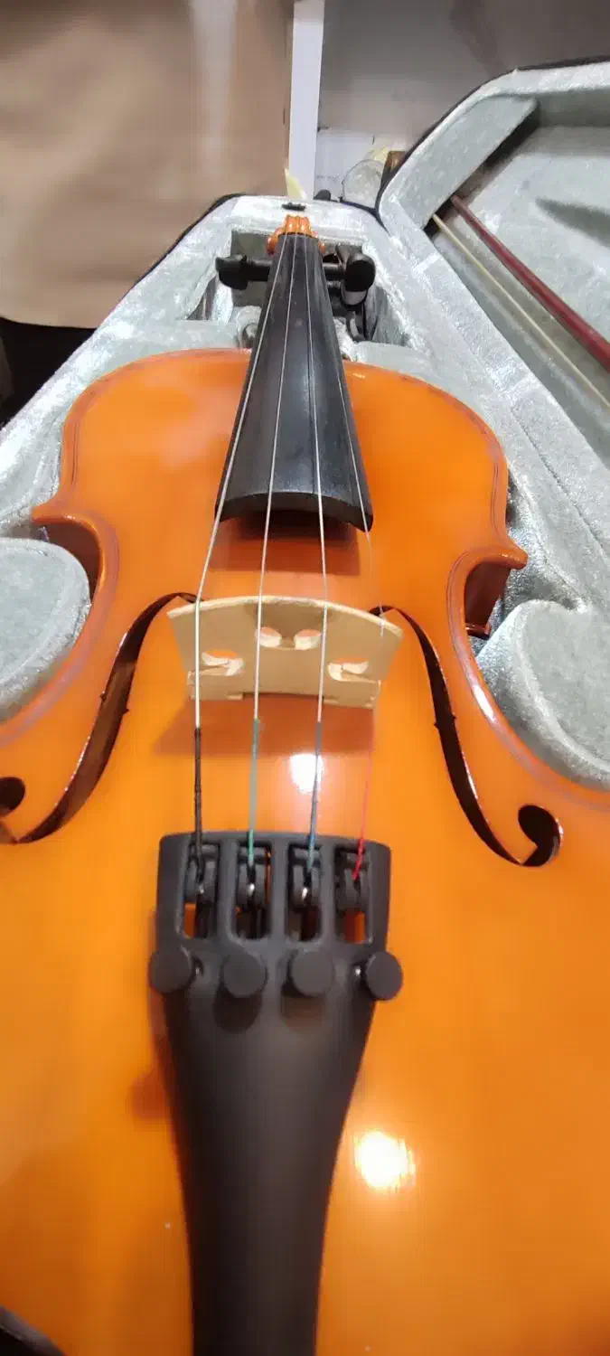 ویلون آموزشی تی آف|ویولن|مریوان, |دیوار