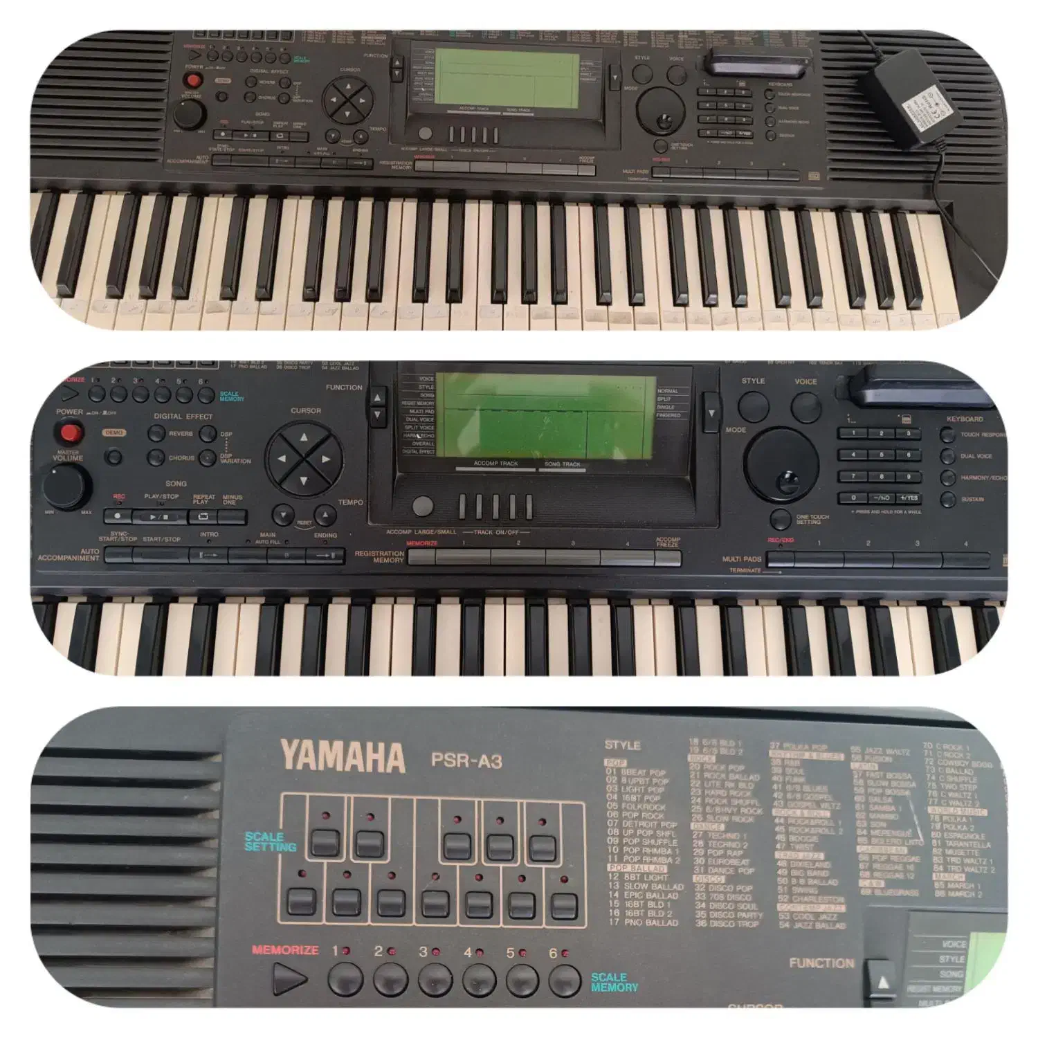 ارگ|پیانو، کیبورد، آکاردئون|پاسارگاد, |دیوار