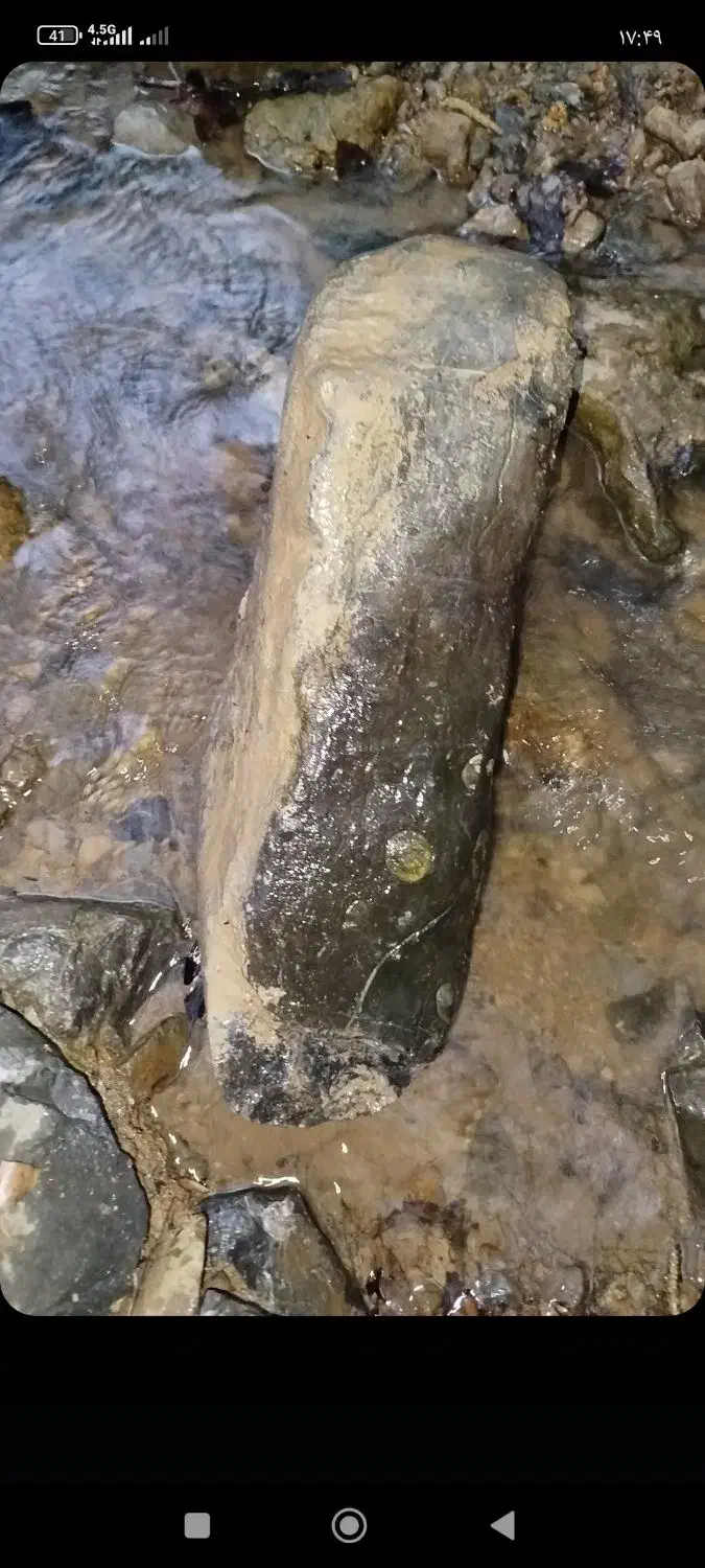 سنگ فسیل قاجاری|کلکسیون و سرگرمی|تنکابن, |دیوار