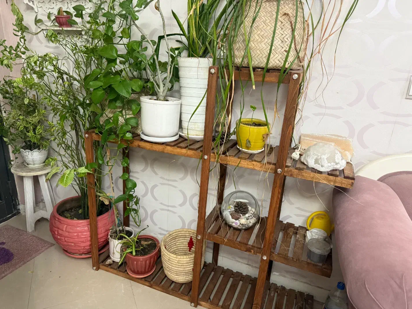 پایه استند گل|صنایع دستی و سایر لوازم تزئینی|بندرعباس, |دیوار