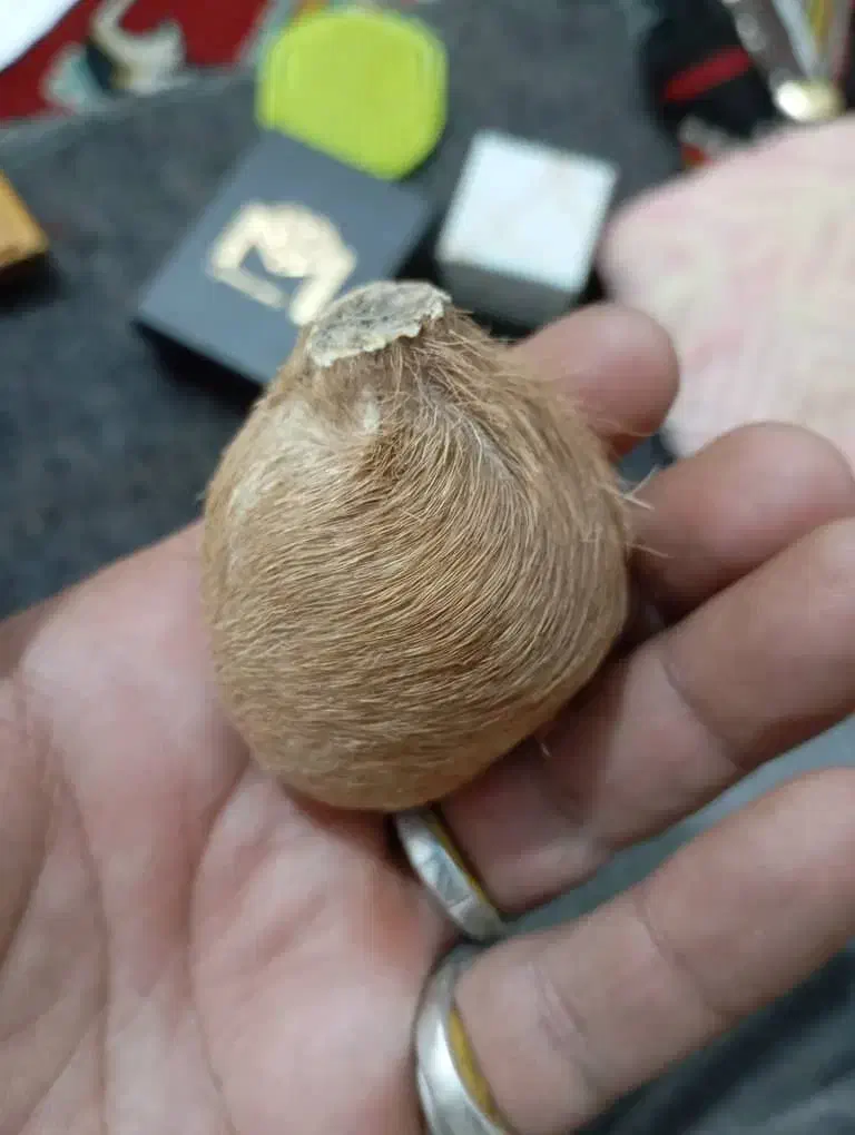 انگشتر اونو حذف کردم ناظر|بدلیجات|زابل, |دیوار