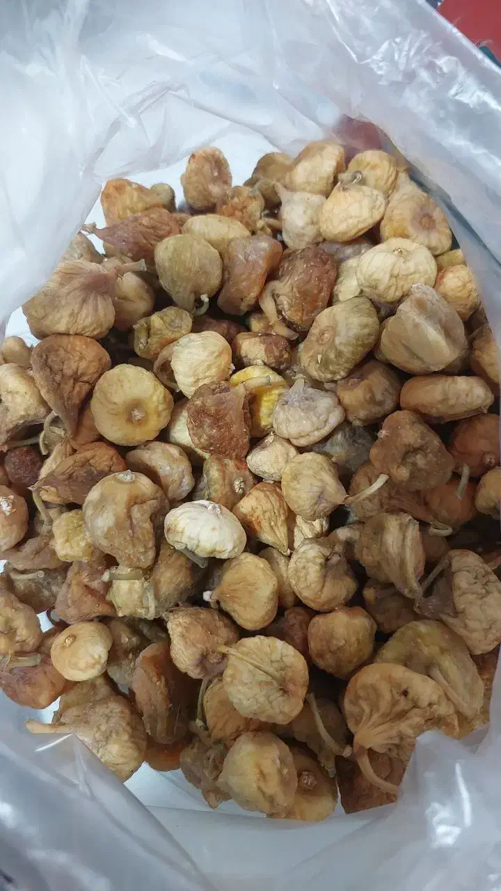 آلو و انجیر|خوردنی و آشامیدنی|قائن, |دیوار