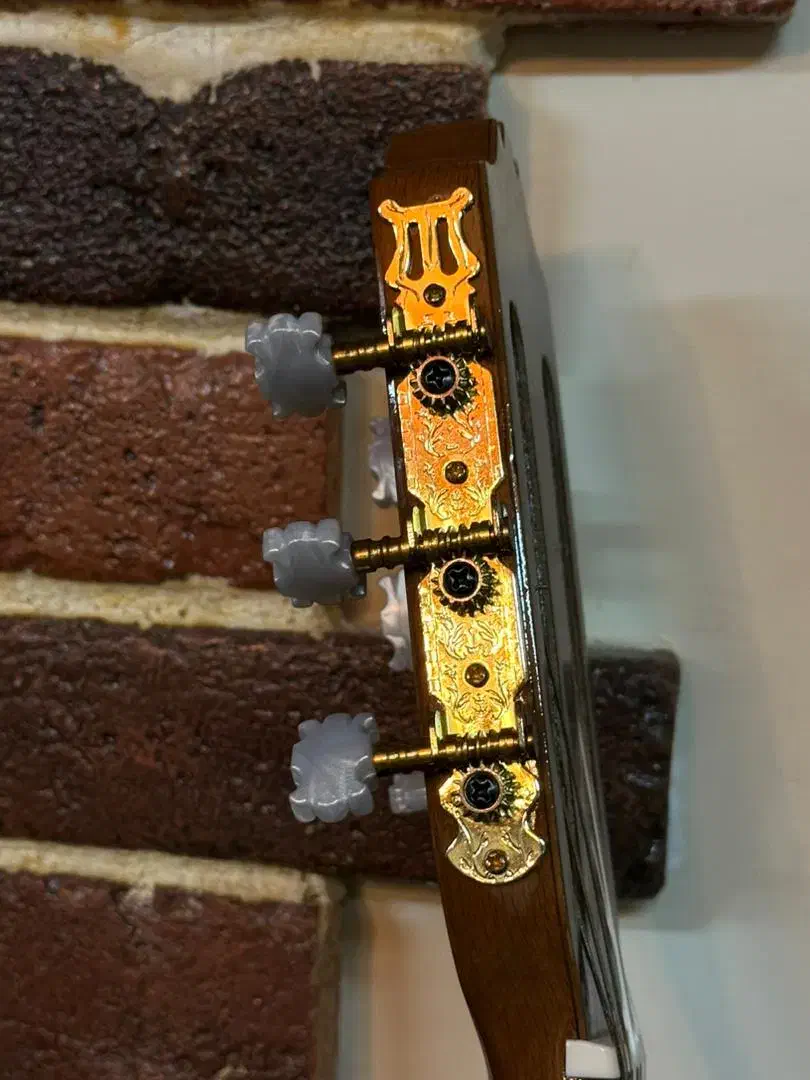 گیتار کلاسیک تین بادی پیکاپ دار|گیتار، بیس، امپلیفایر|بندر انزلی, پرستار|دیوار