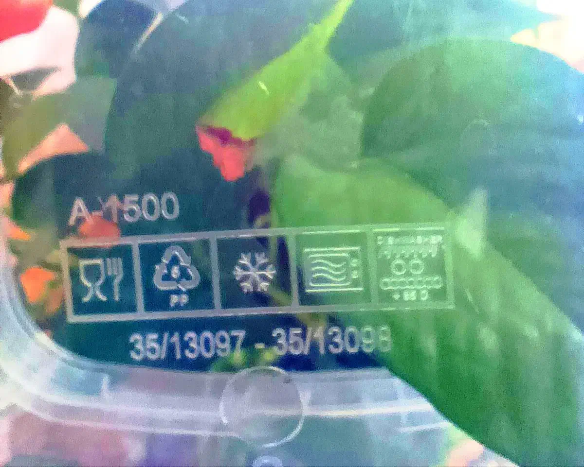 ظروف نگهدارنده|ظروف نگهدارنده، پلاستیکی، یکبارمصرف|بندرعباس, |دیوار