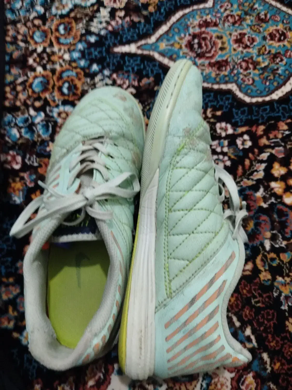 تربت حیدریه|کیف، کفش، کمربند|تربتحیدریه, رضاشهر|دیوار