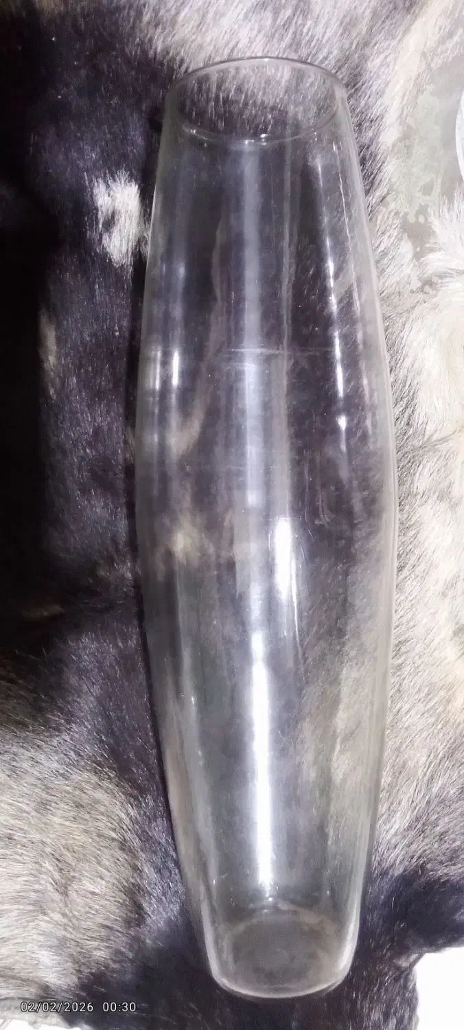 گلدان|گل و گیاه طبیعی|رباط‌کریم, نصیرشهر|دیوار