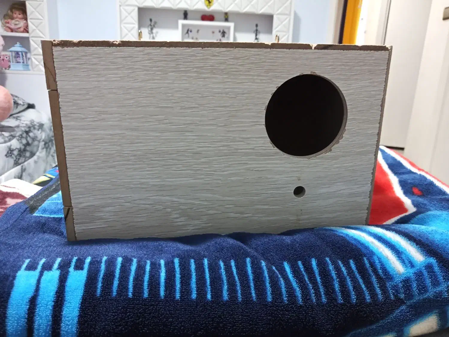 لانه پرنده|لوازم جانبی حیوانات|پرند, فاز ۶|دیوار