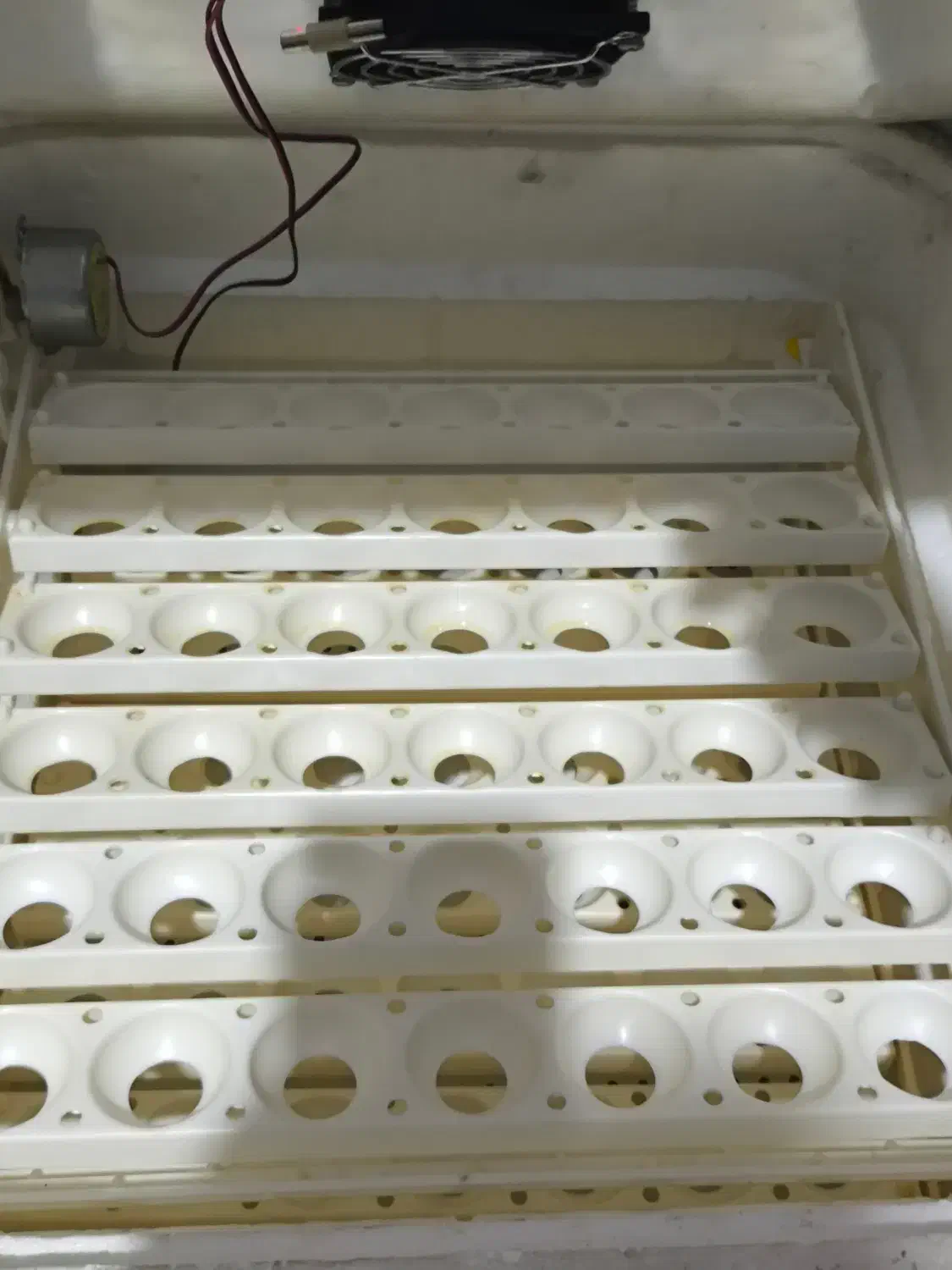 دستگاه جوجه کشی.84 عددی  کاکس|لوازم جانبی حیوانات|قم, دانش|دیوار