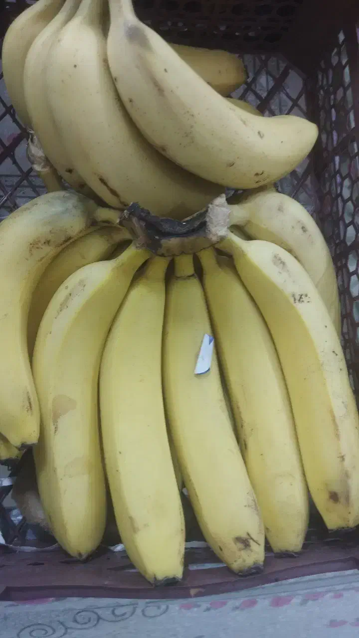 سوپر میوه|فروشگاه و مغازه|میناب, |دیوار