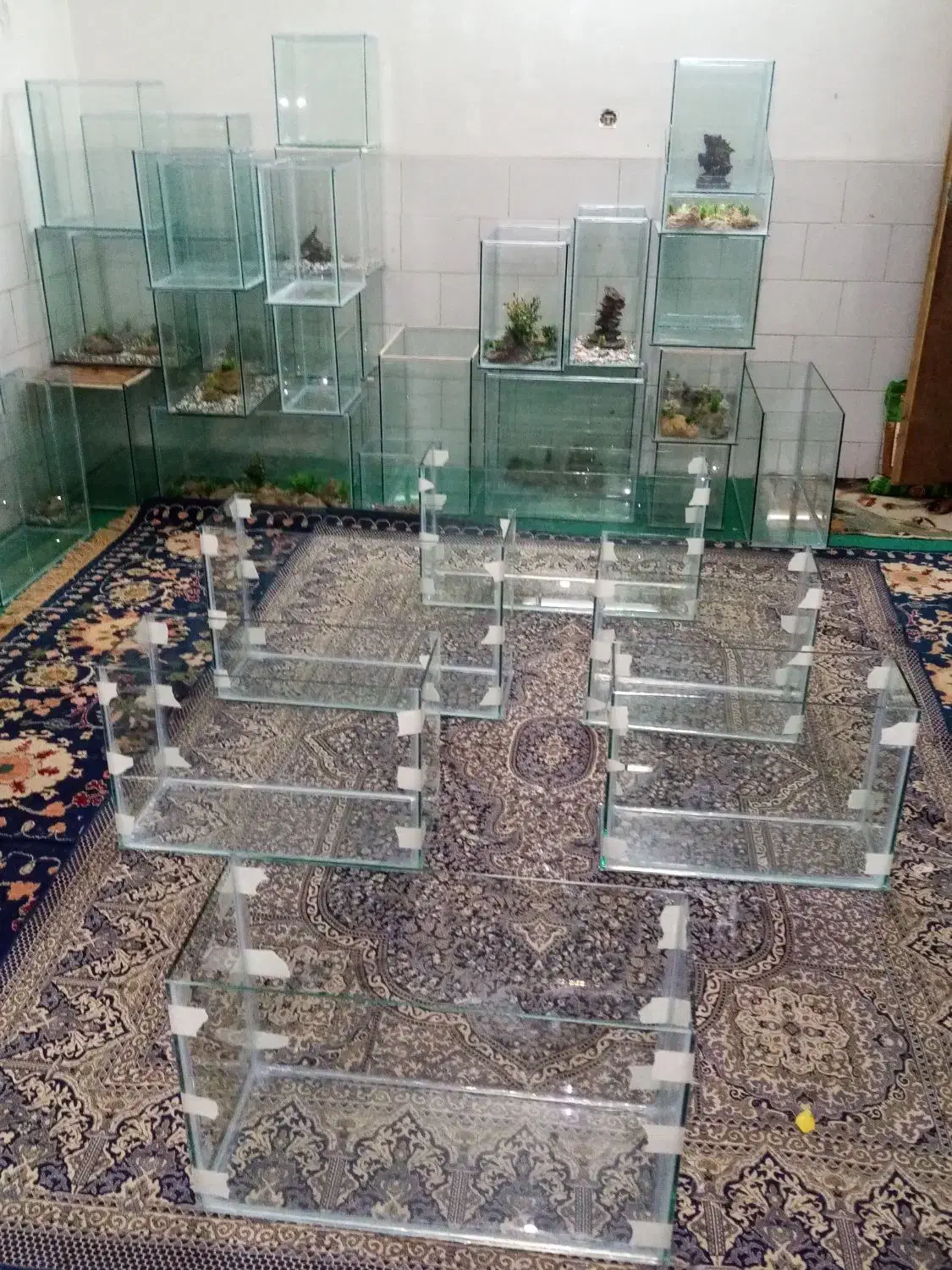 اکواریم|ماهی|یزد, |دیوار