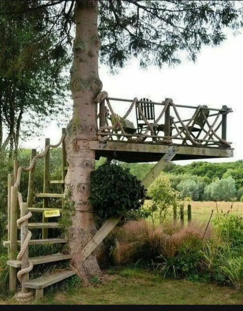 اجرای محوطهسازی و احداث فضای سبز با طراحی حرفهای|خدمات باغبانی و درختکاری|رشت, بلوار گیلان|دیوار