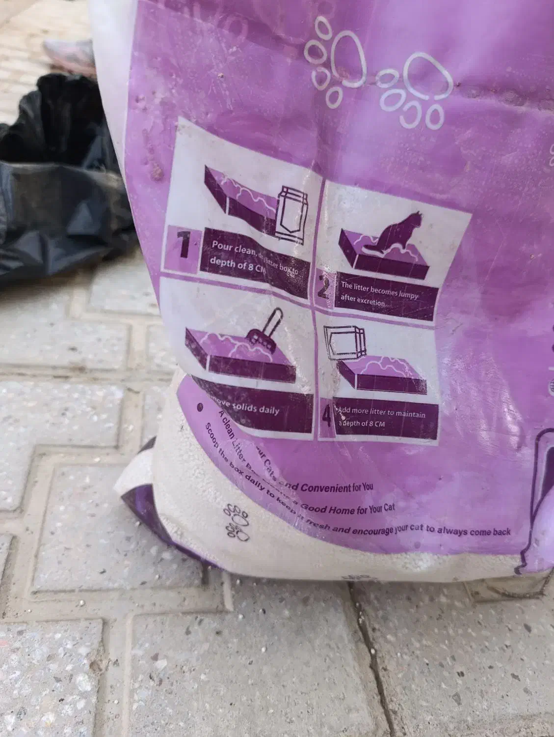 خاک گربه|لوازم جانبی حیوانات|فردوس (خراسان), |دیوار