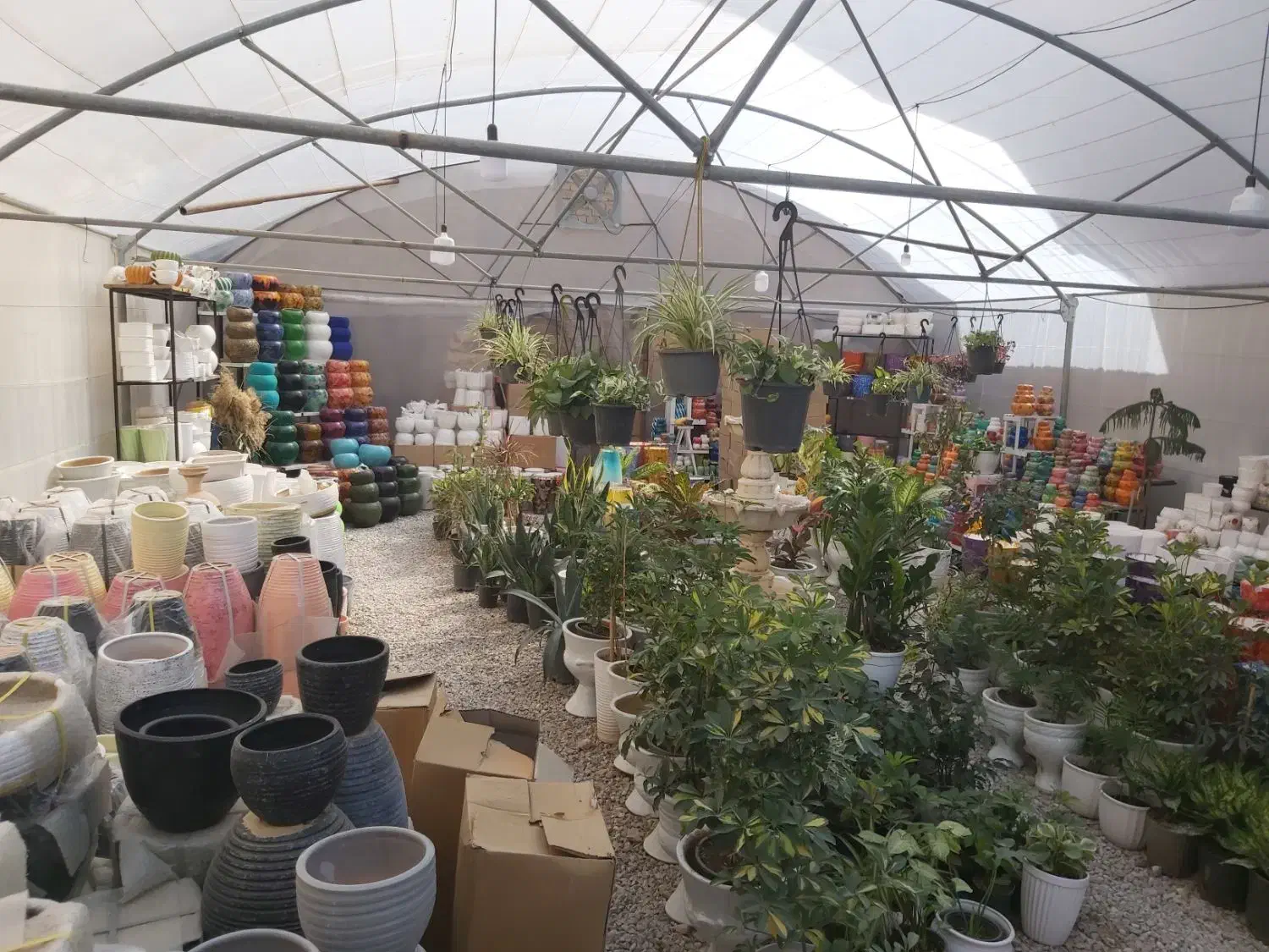 اجاره گلخانه جهت فروش گل و گلدان و نهالستان|اجارهٔ دفتر صنعتی، کشاورزی، تجاری|مرودشت, فاز دوم شهرک فرهنگیان|دیوار