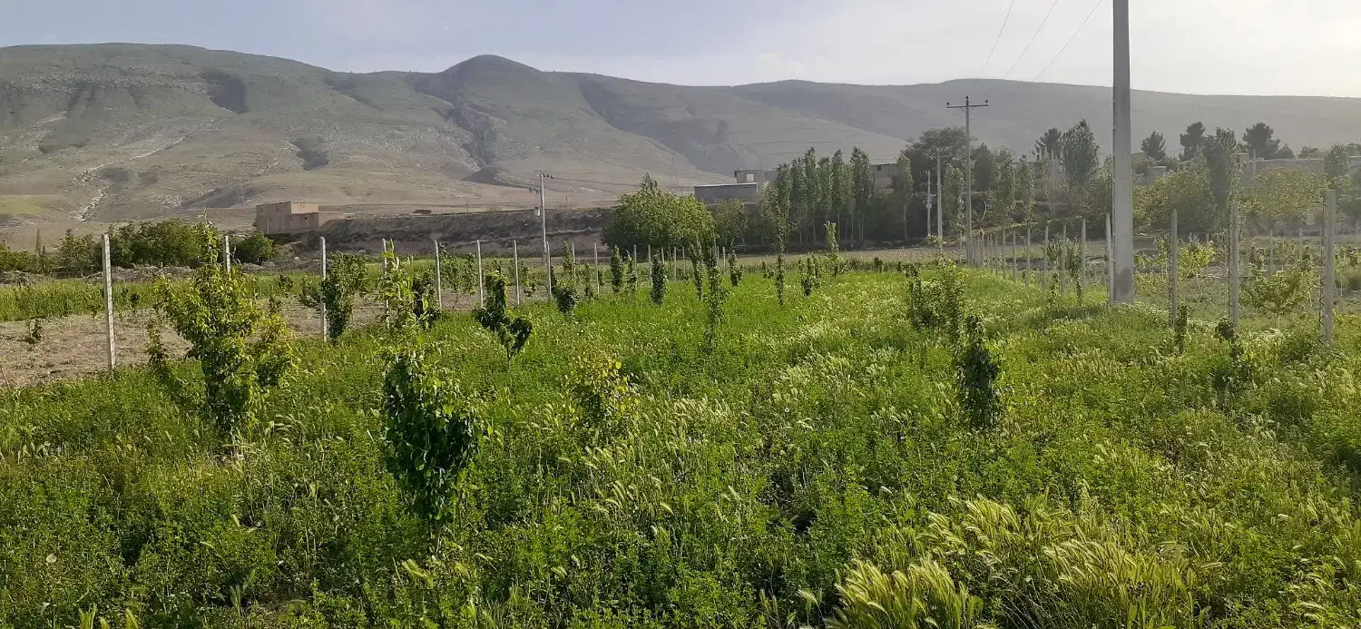 باغ ۱۵۰۰متری|فروش زمین و ملک کلنگی|گرمخان, |دیوار