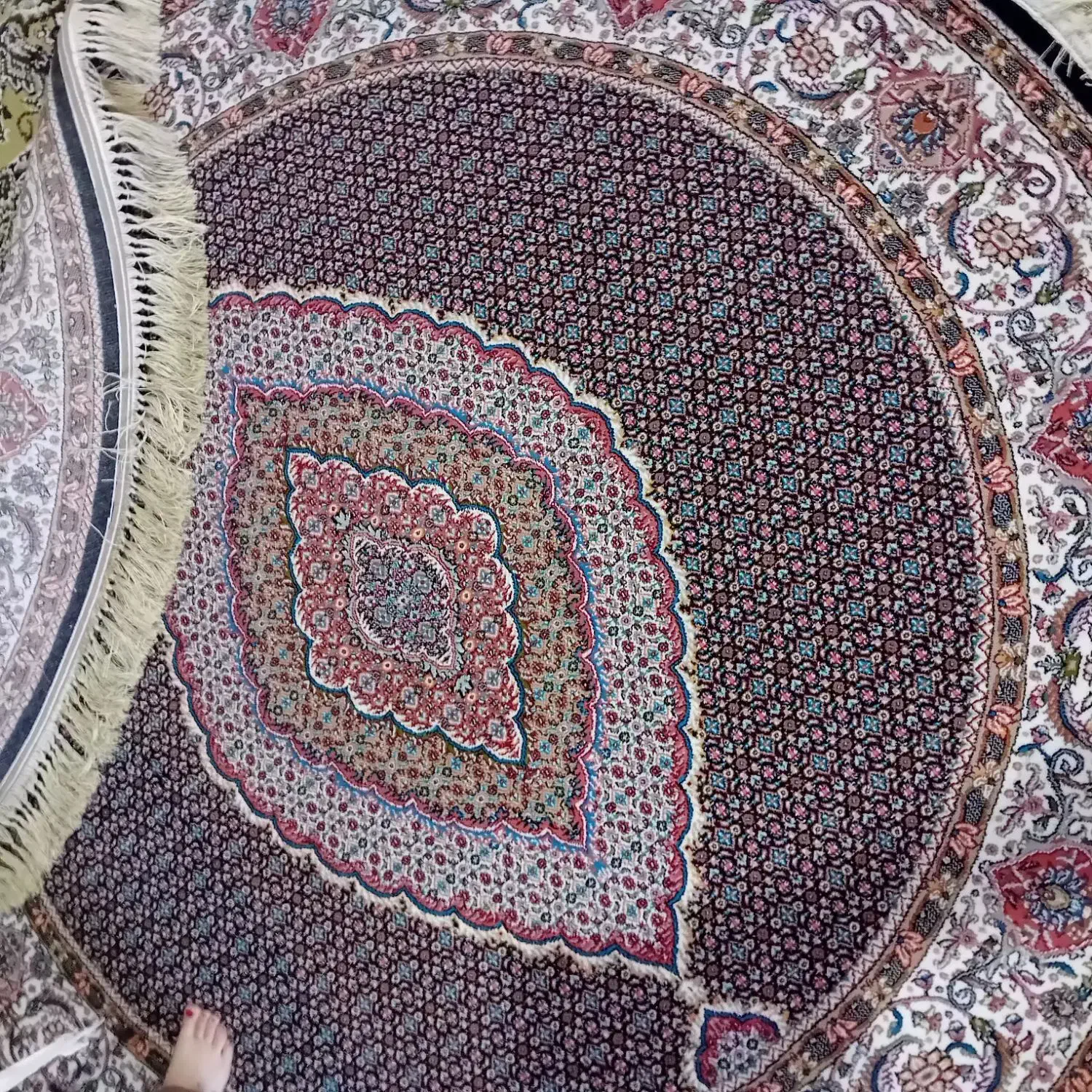 فرش دایره ریز ماهی نو|فرش|اهر, |دیوار