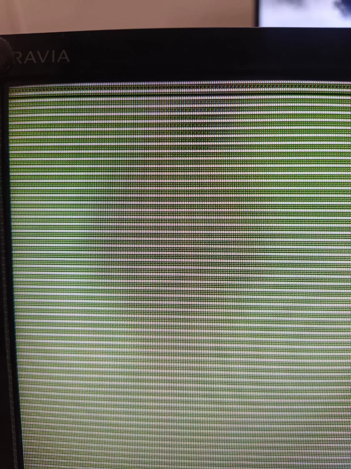 تلوزیون ۴۸ اینچ سونی به همراه محافظ|تلویزیون و پروژکتور|تهران, شادآباد|دیوار