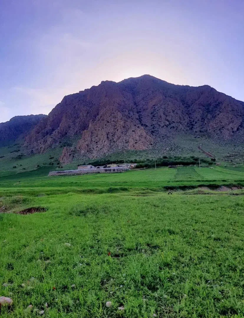 دامداری و ۳۰هکتار زمین کشاورزی دیم|فروش دفتر صنعتی، کشاورزی، تجاری|روانسر, |دیوار