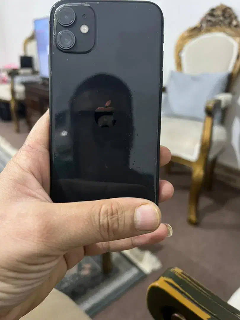 ایفون ۱۱|موبایل|کردکوی, |دیوار