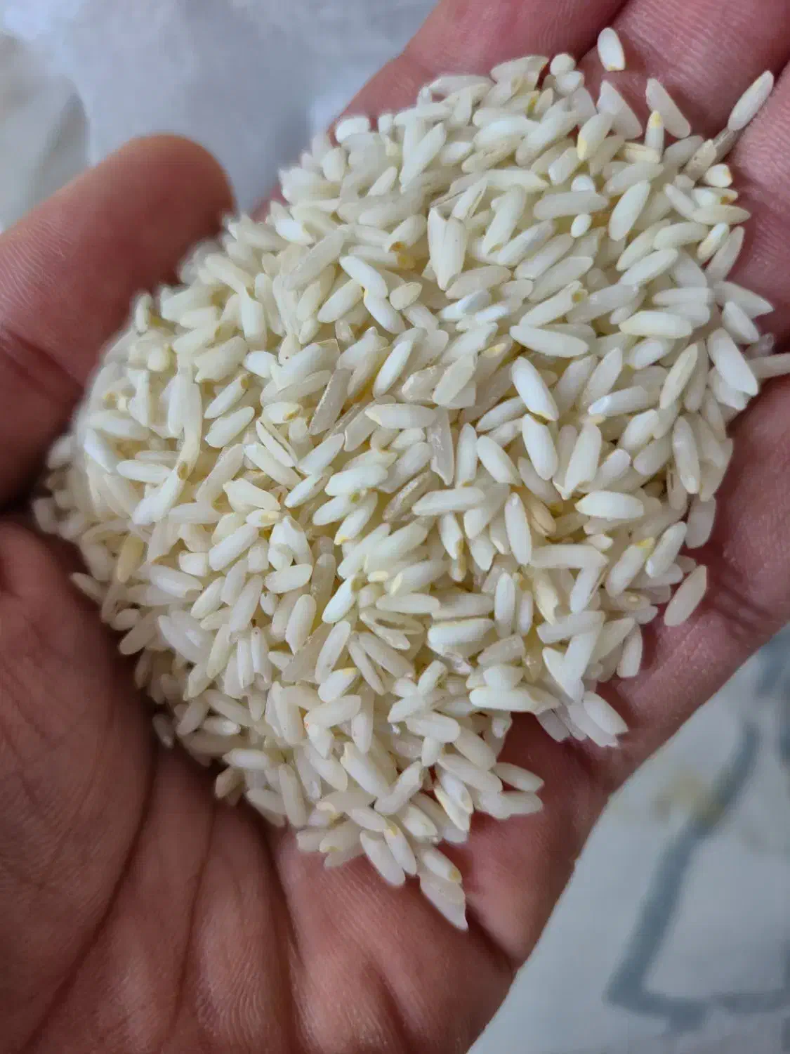 برنج عنبر بو و لاشه هاشمی 1500|خوردنی و آشامیدنی|محمدشهر, محمدشهر|دیوار