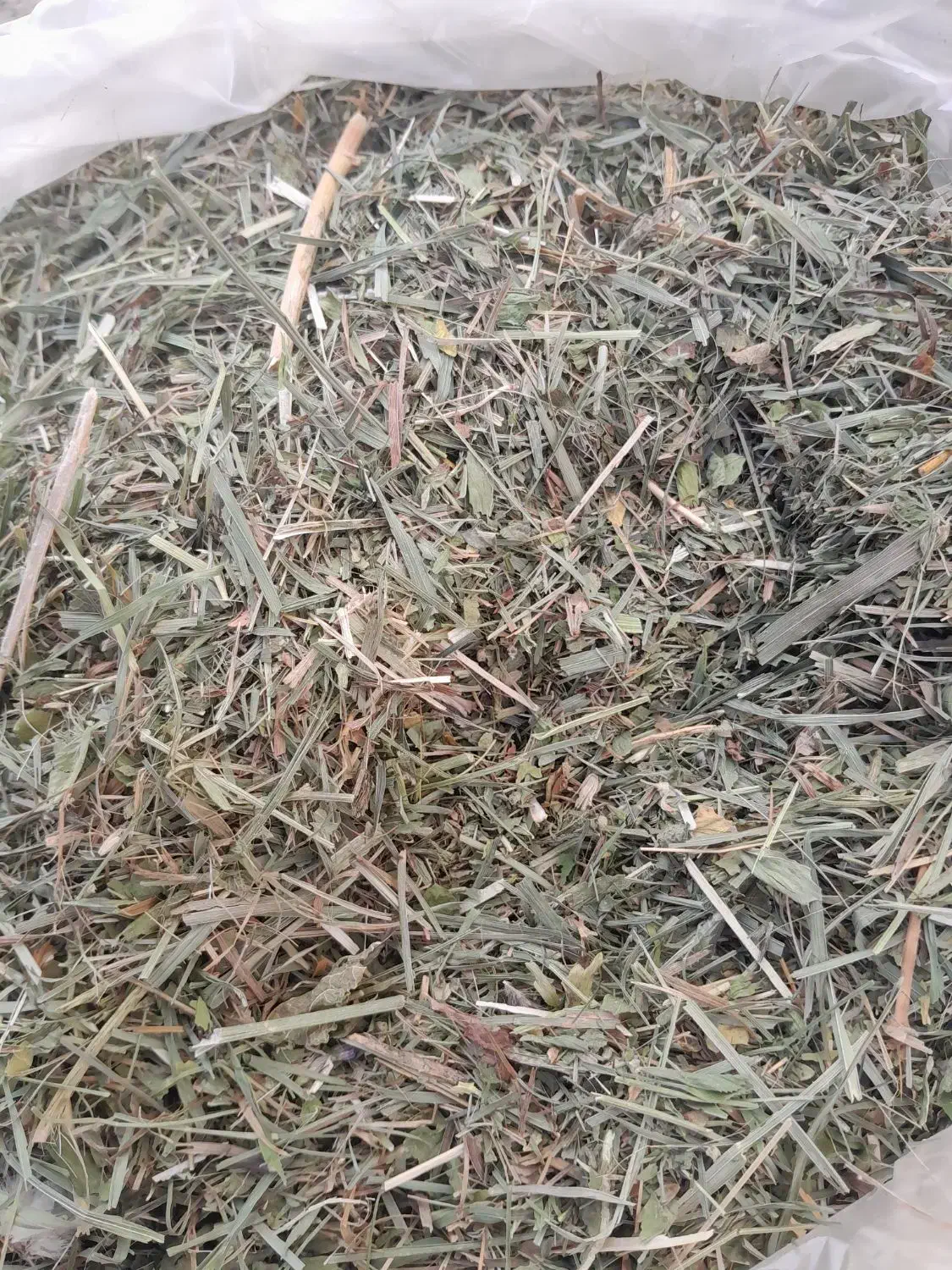 علف همه گیاه|لوازم جانبی حیوانات|دهگلان, |دیوار