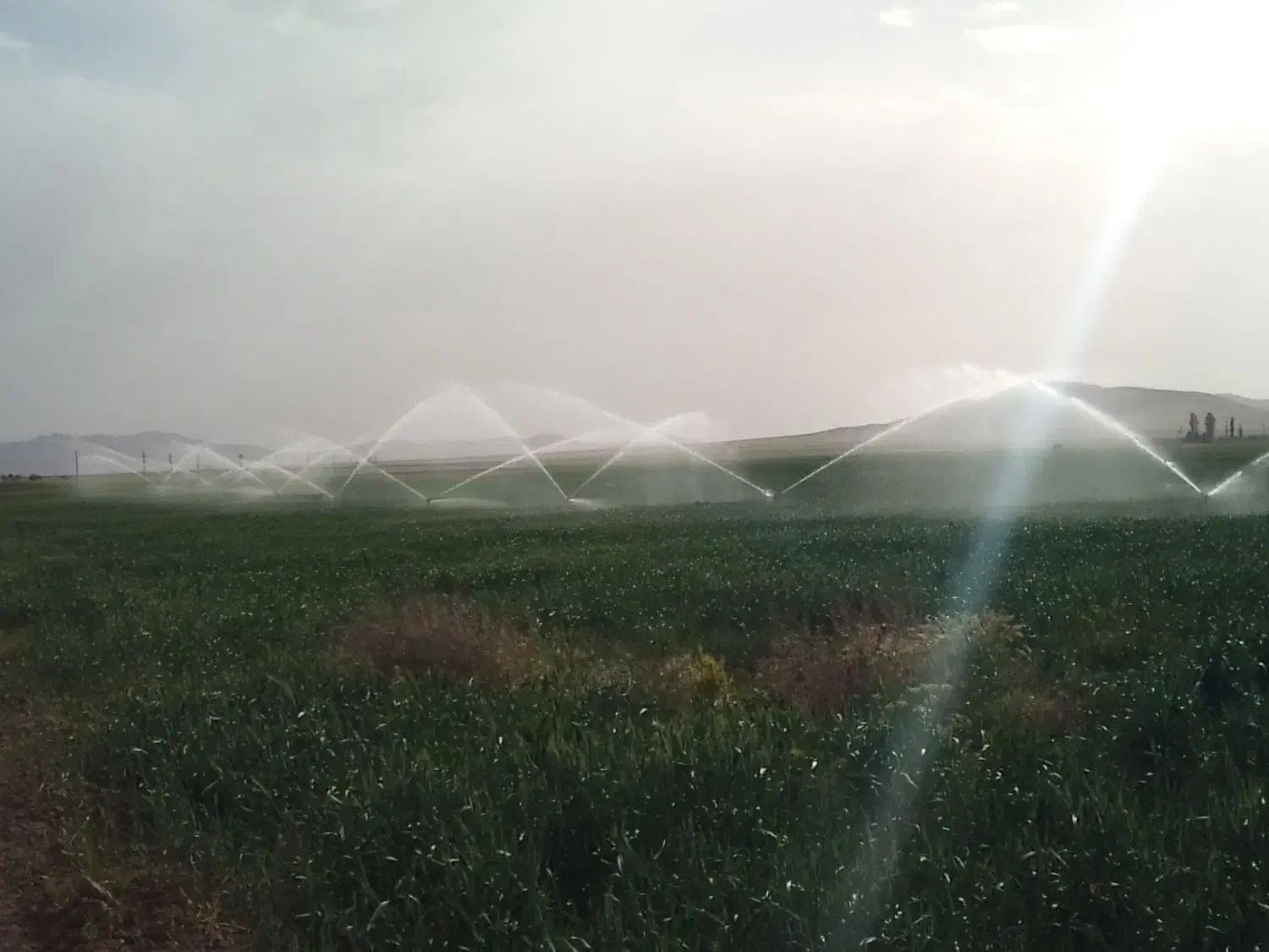 چاه آب 4اینچ دائم 22هکتارزمین بارانی واستخرماهی|اجارهٔ دفتر صنعتی، کشاورزی، تجاری|فرمهین, |دیوار