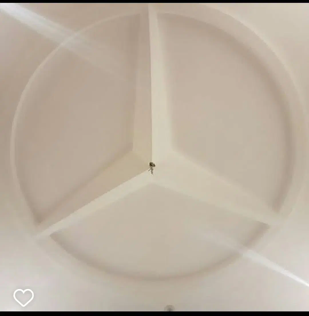 گچکاری و ابزار|خدمات پیشه و مهارت|نظرآباد, نظرآباد|دیوار