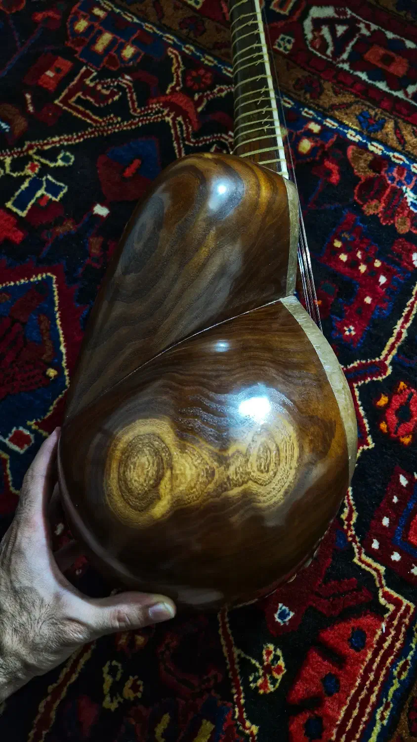 تار حرفه ای اعلا میثم علیاری|سازهای سنتی|پاکدشت, پاکدشت (مامازند)|دیوار