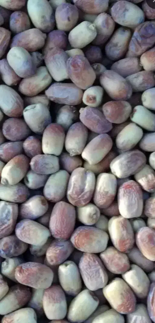 خرما زاهدی فقط 100|خوردنی و آشامیدنی|کوهدشت, |دیوار