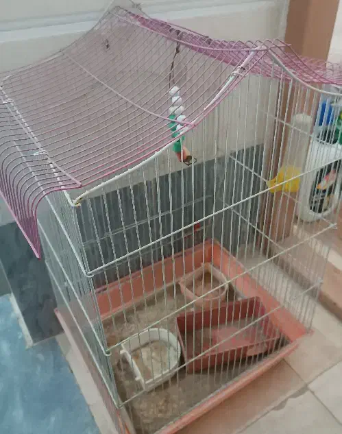 قفس بزرگ|لوازم جانبی حیوانات|قم, نیروگاه|دیوار