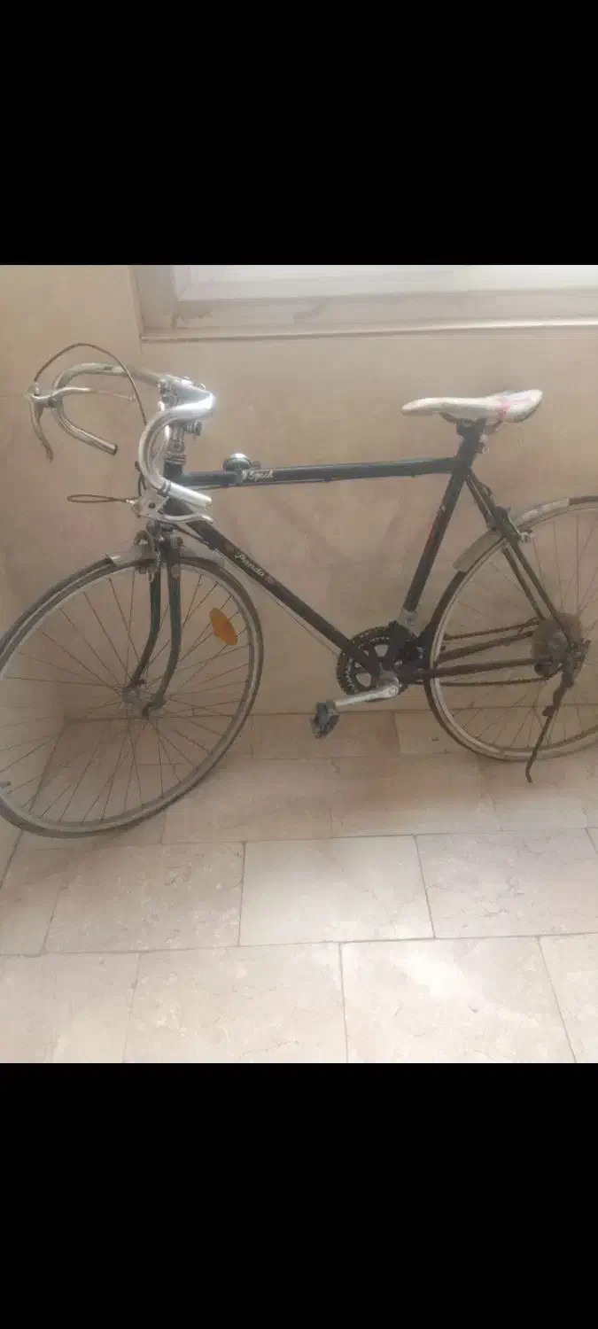 دوچرخه کرسی|دوچرخه، اسکیت، اسکوتر|ری, سیزده آبان|دیوار