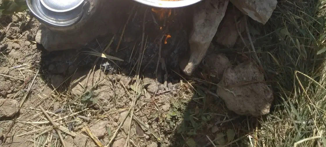 گندم دیمی|عمدهفروشی|لالجین, |دیوار