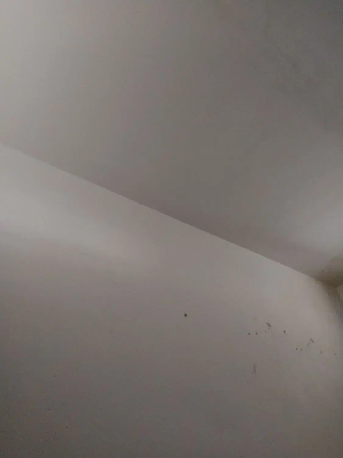 کارهامنزل|خدمات نظافت|شیراز, زرهی|دیوار