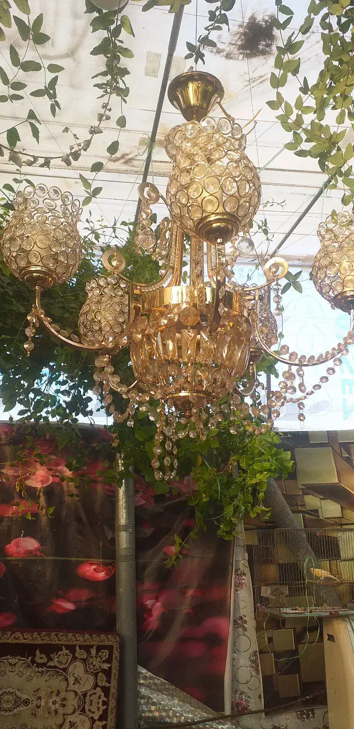 لوستر|لوستر و چراغ آویز|قم, شاه ابراهیم|دیوار