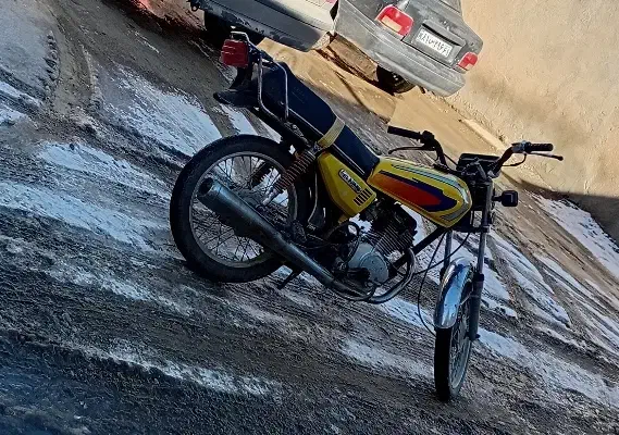 ...|سگ|دهگلان, |دیوار