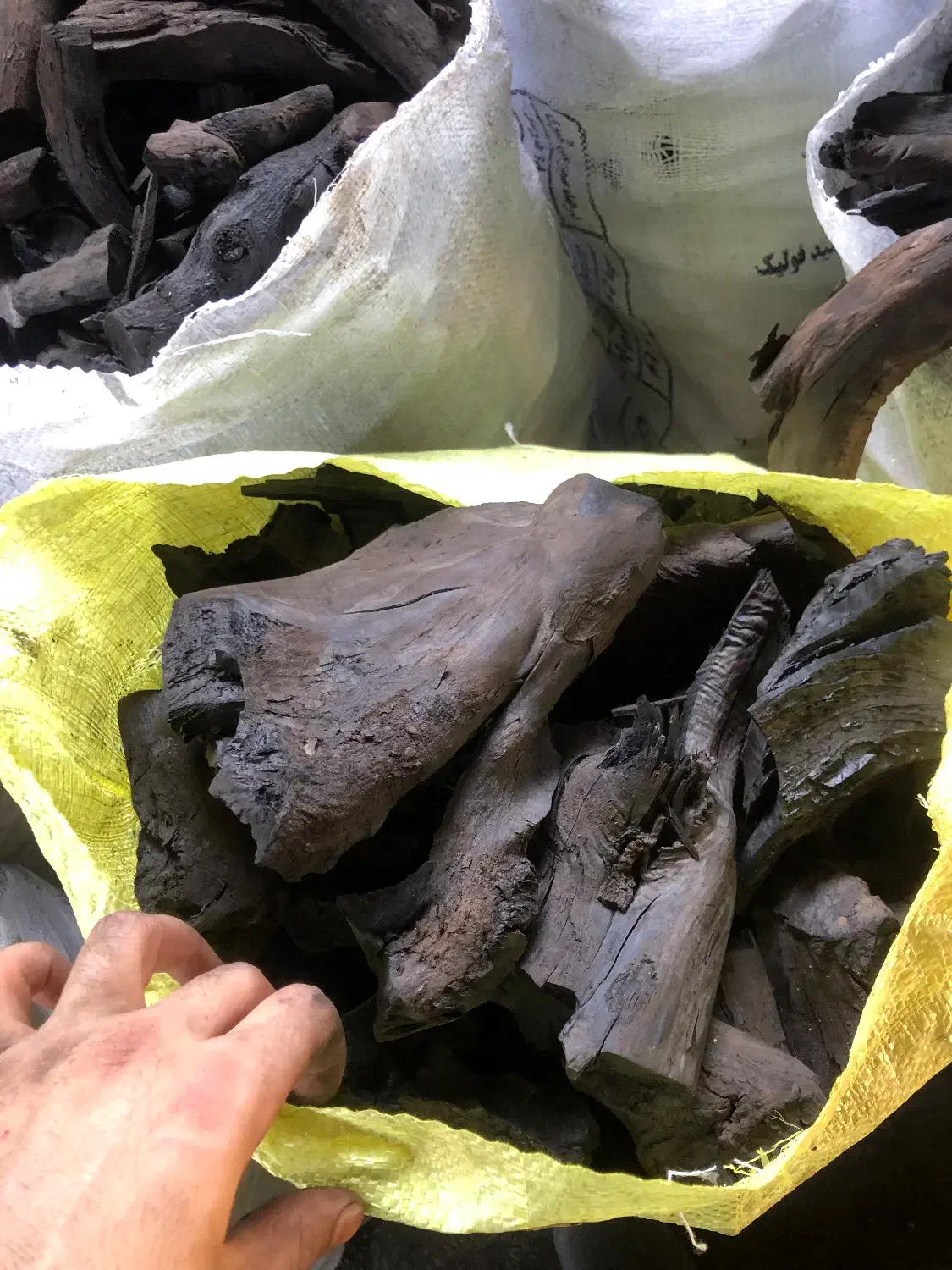 ذغال کبابی درجه یک|عمده‌فروشی|شیرگاه, |دیوار