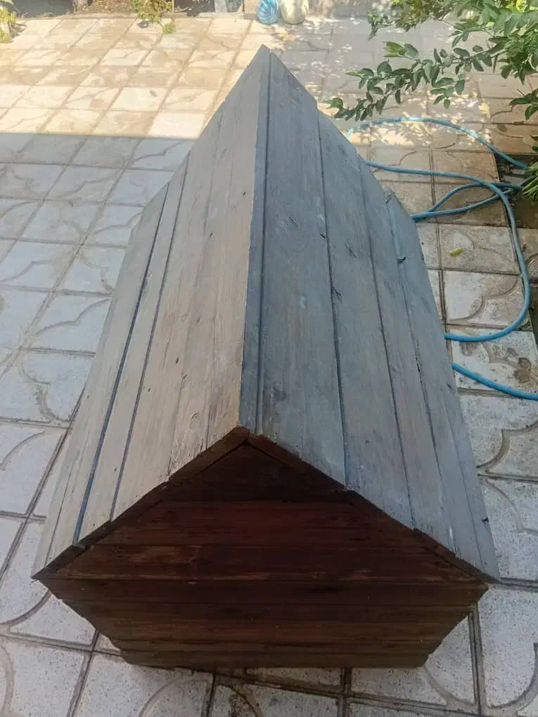 کلبه سگ|لوازم جانبی حیوانات|مرودشت, ژیان|دیوار