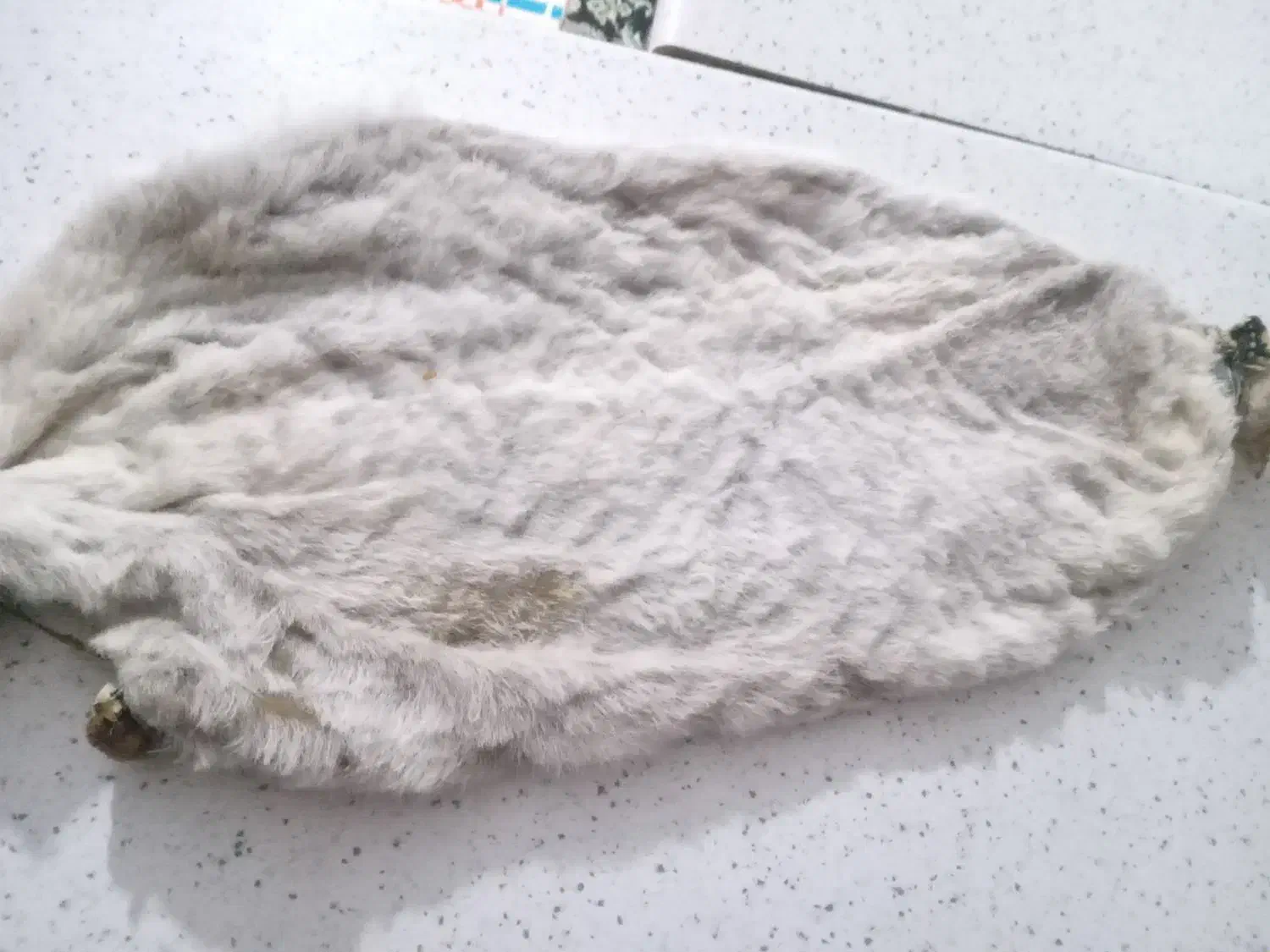 خیگ تمیز وخوش بو|صنایع دستی و سایر لوازم تزئینی|یاسوج, |دیوار