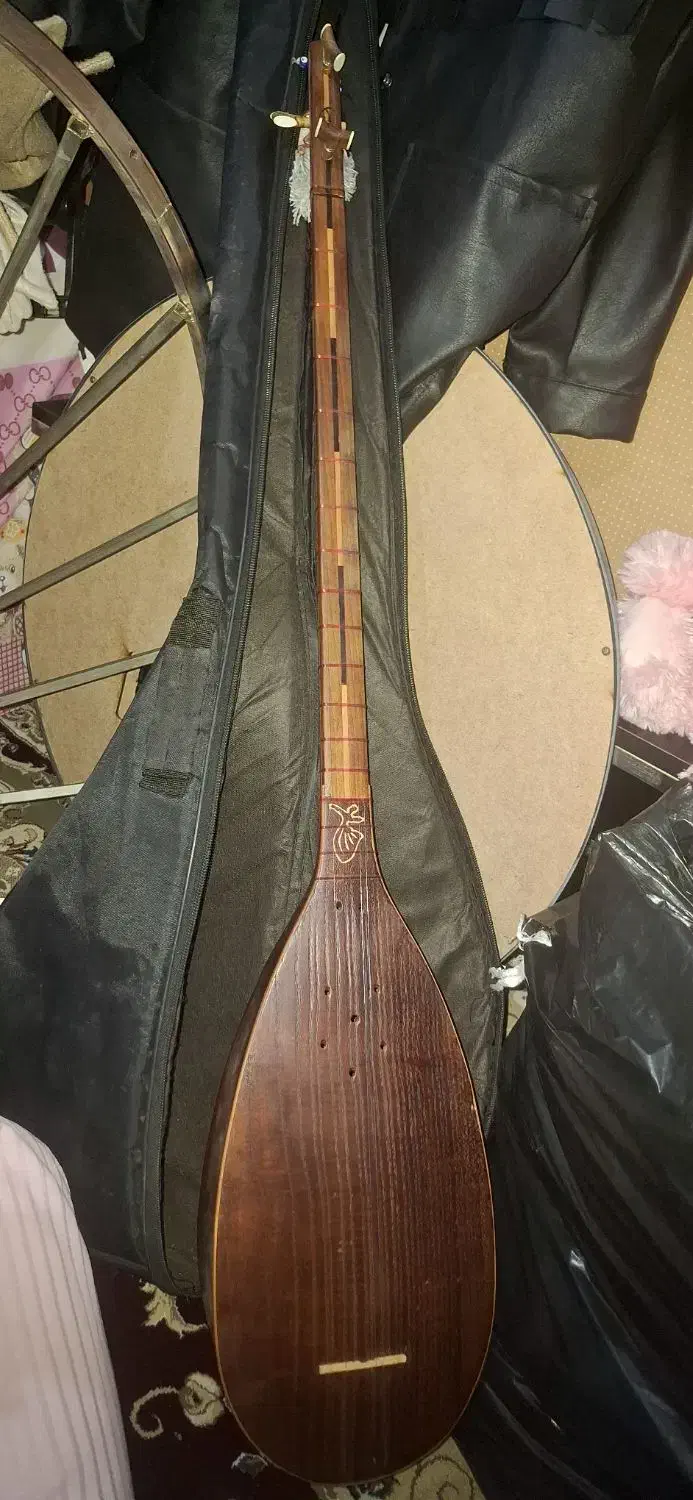 تنبور مستور|سازهای سنتی|صحنه, |دیوار