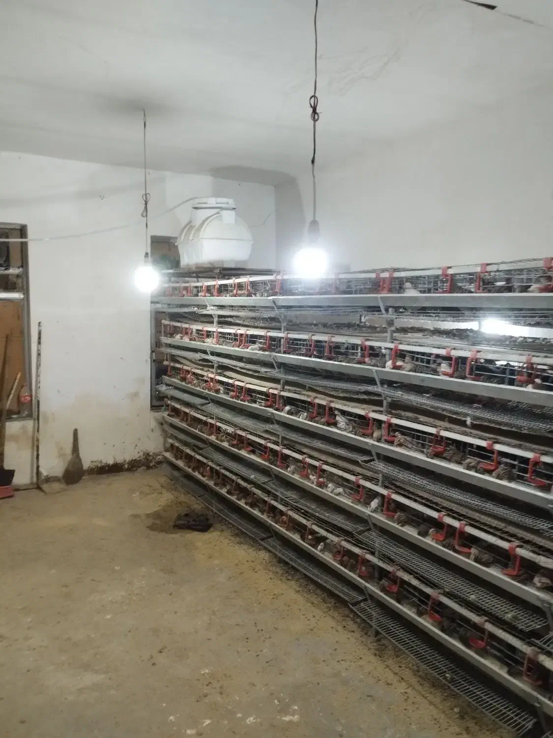 قفس بلدرچین تخم گذار|لوازم جانبی حیوانات|تهران, هلال احمر|دیوار