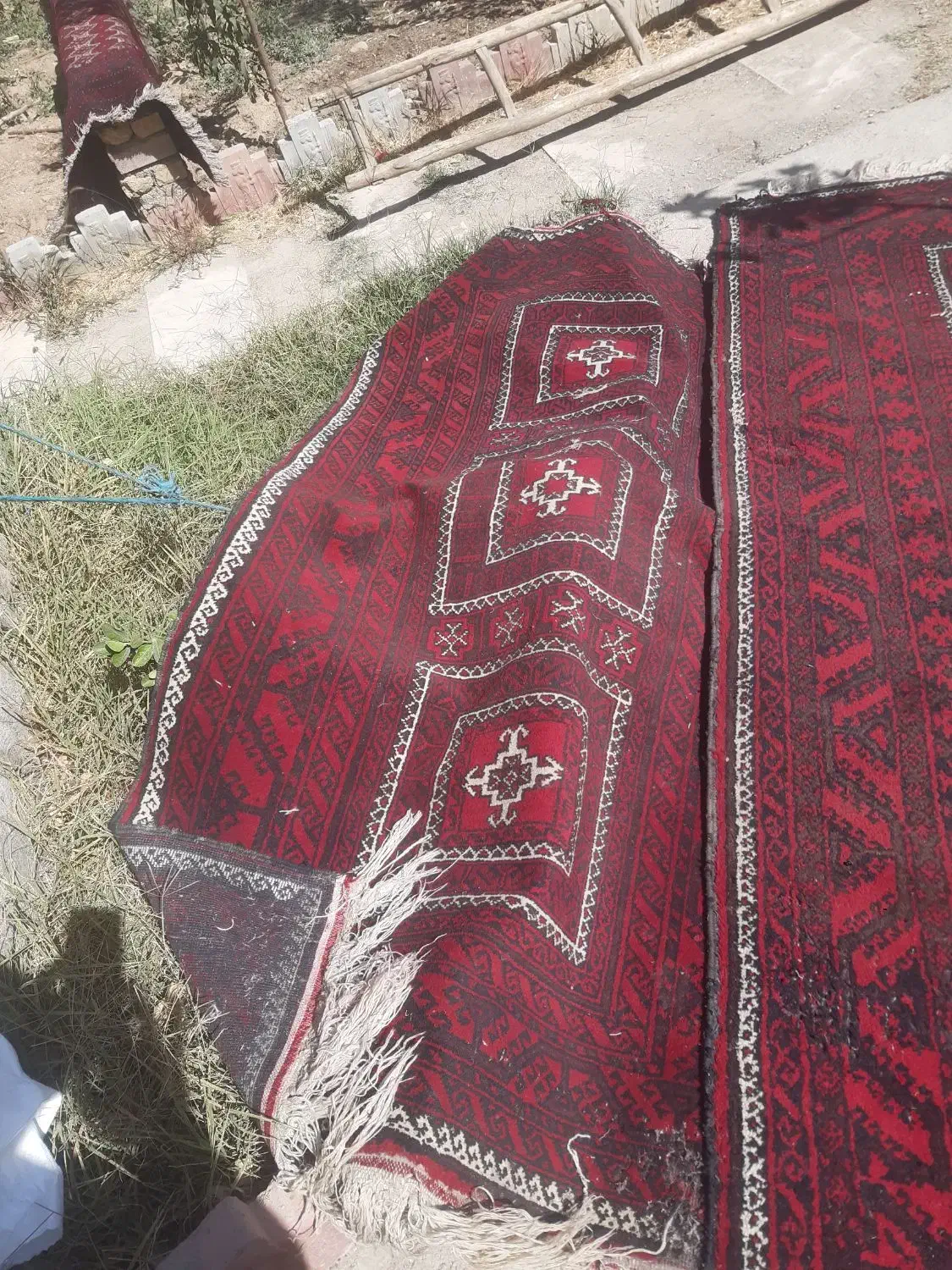 فرش دستبافت|فرش|شاندیز, |دیوار