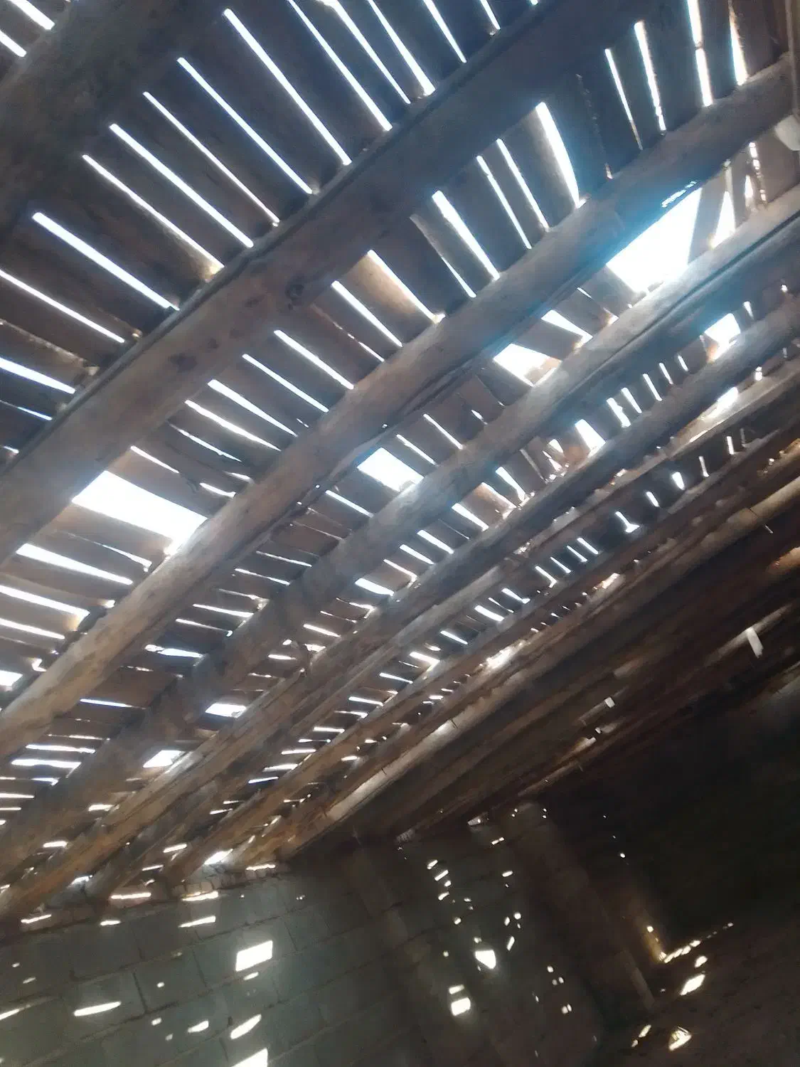 تیر چوبی سقف|مصالح و تجهیزات ساختمان|بستان آباد, |دیوار